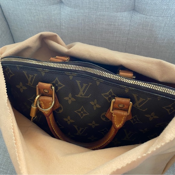 LOUIS VUITTON Vintage ALMA PM w/ Lock, Key, Dust Bag - Picture 11 of 12